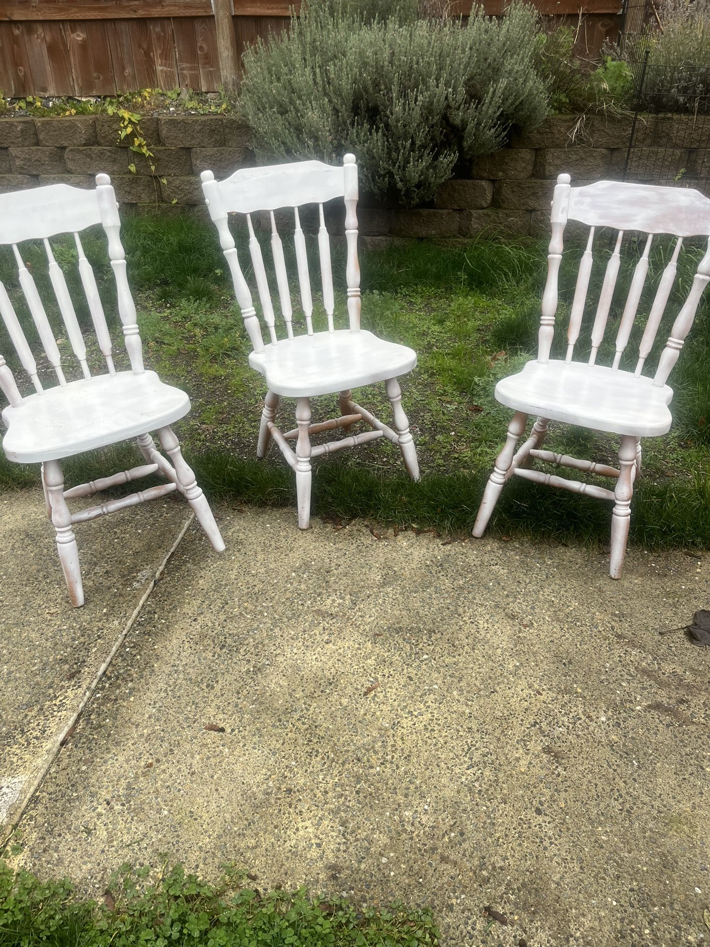Free 3 Dining Chairs 