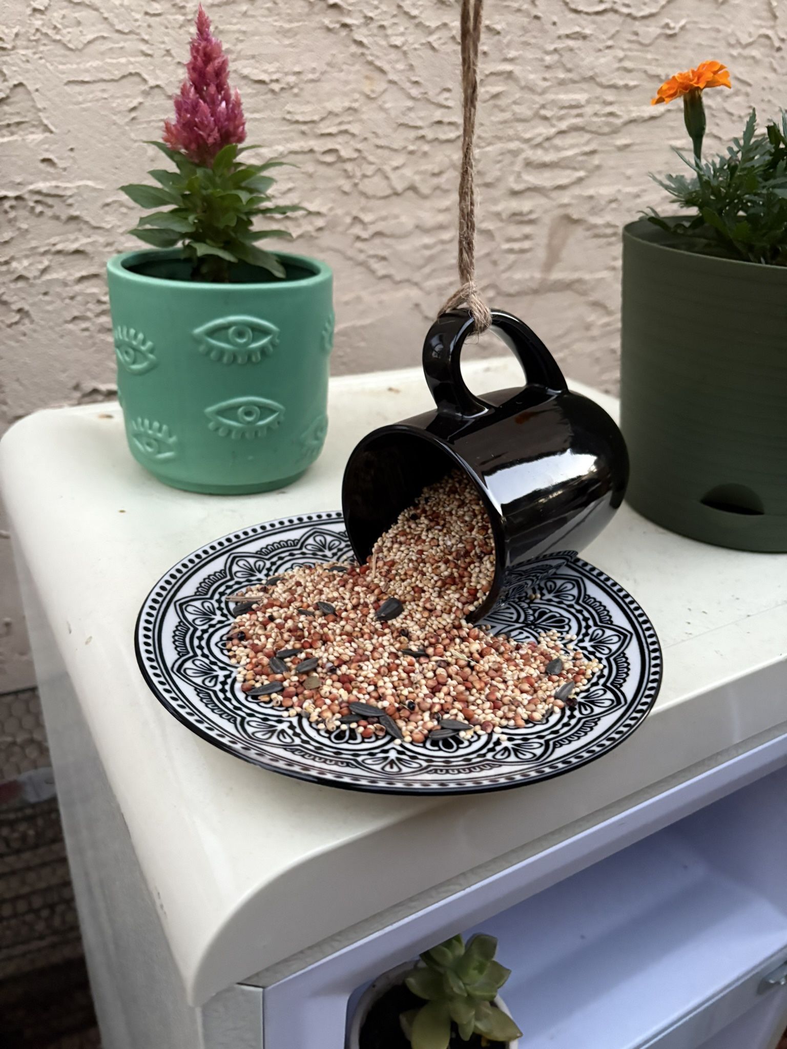 Bird Feeder