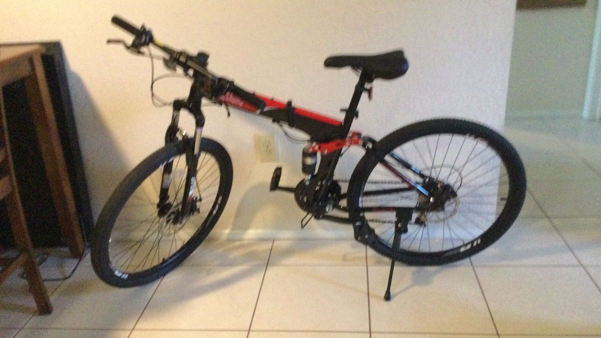 Folding Bike