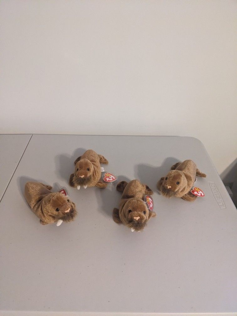 Ty Beanie Babies - Paul
