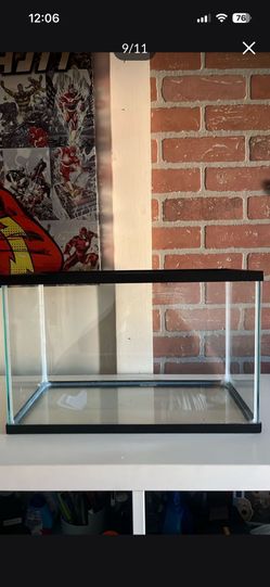 5 gallon fish tank