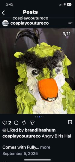 Green angry bird costume