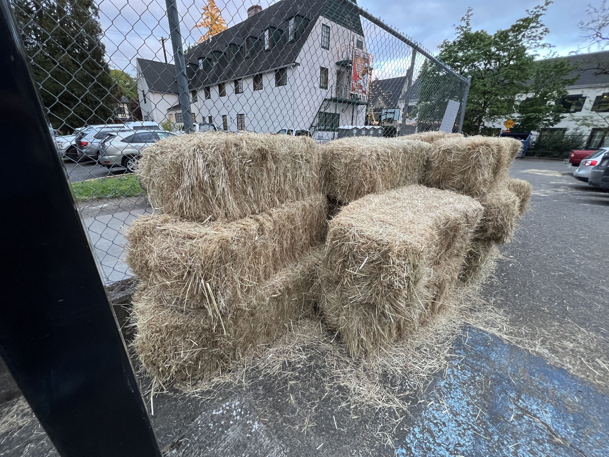 Grass Hay