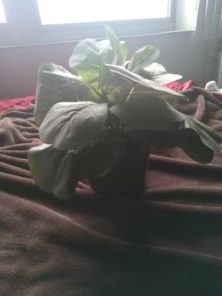 Artificial Green Plant