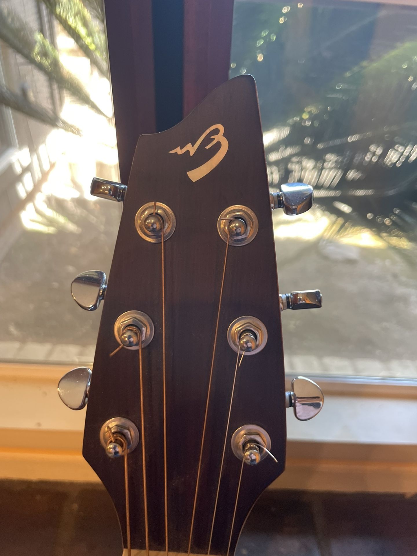 Breedlove passport C250/CME Acoustic electric Guitar for Sale in