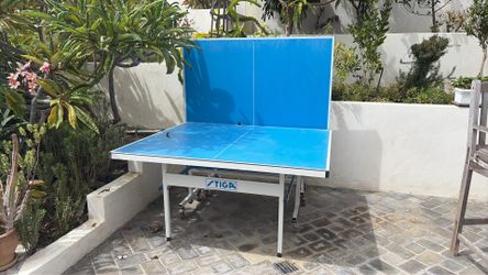 Ping pong table