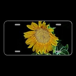 License Plate Novelty Car Front Graphic Light Painting Flower Blossom