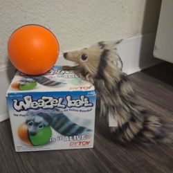 Weasel ball for dog or cat Pickup 2-11 Pm Rainbow/charleston Cash Only Read Description 