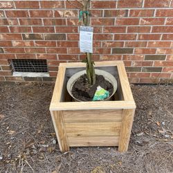 Cedar Planter 