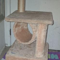 Nice cat tree great condition