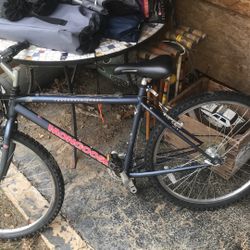 Nice Bike 