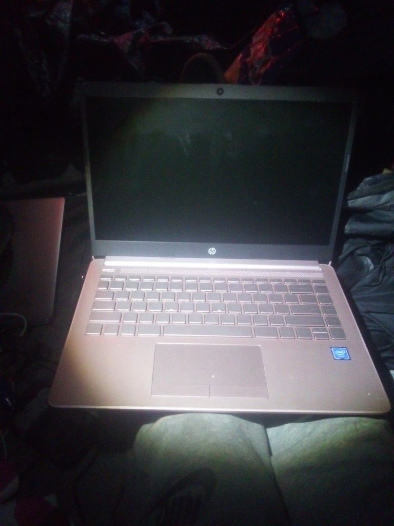 Hp Laptop
