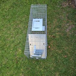Animal Trap