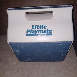 Cooler