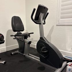 True PS100 Recumbent Exercise Bike