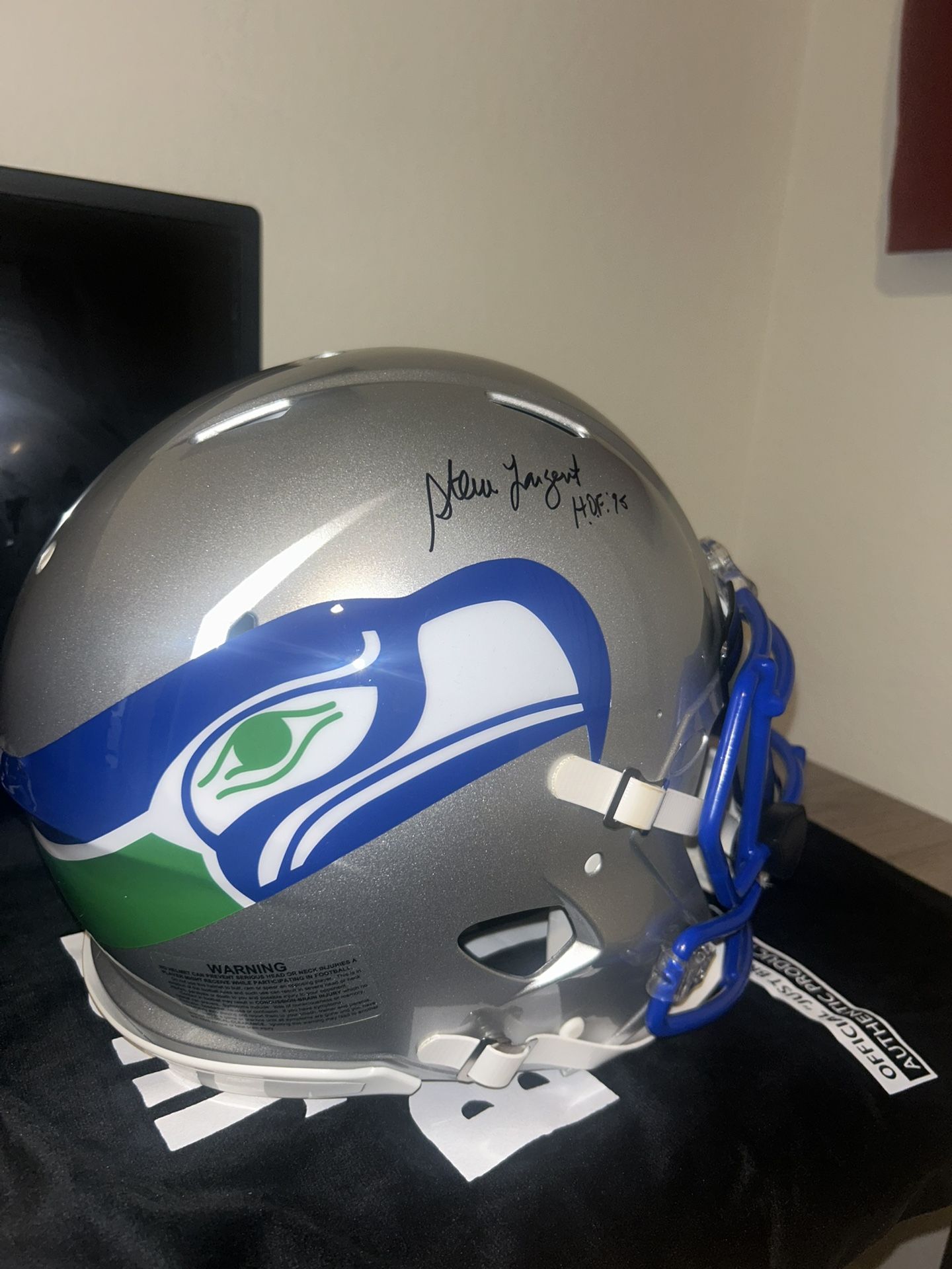 Seattle Seahawks Helmet
