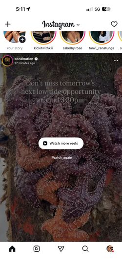 iPhone 15 Pro Max 256GB - Excellent condition - Price Firm