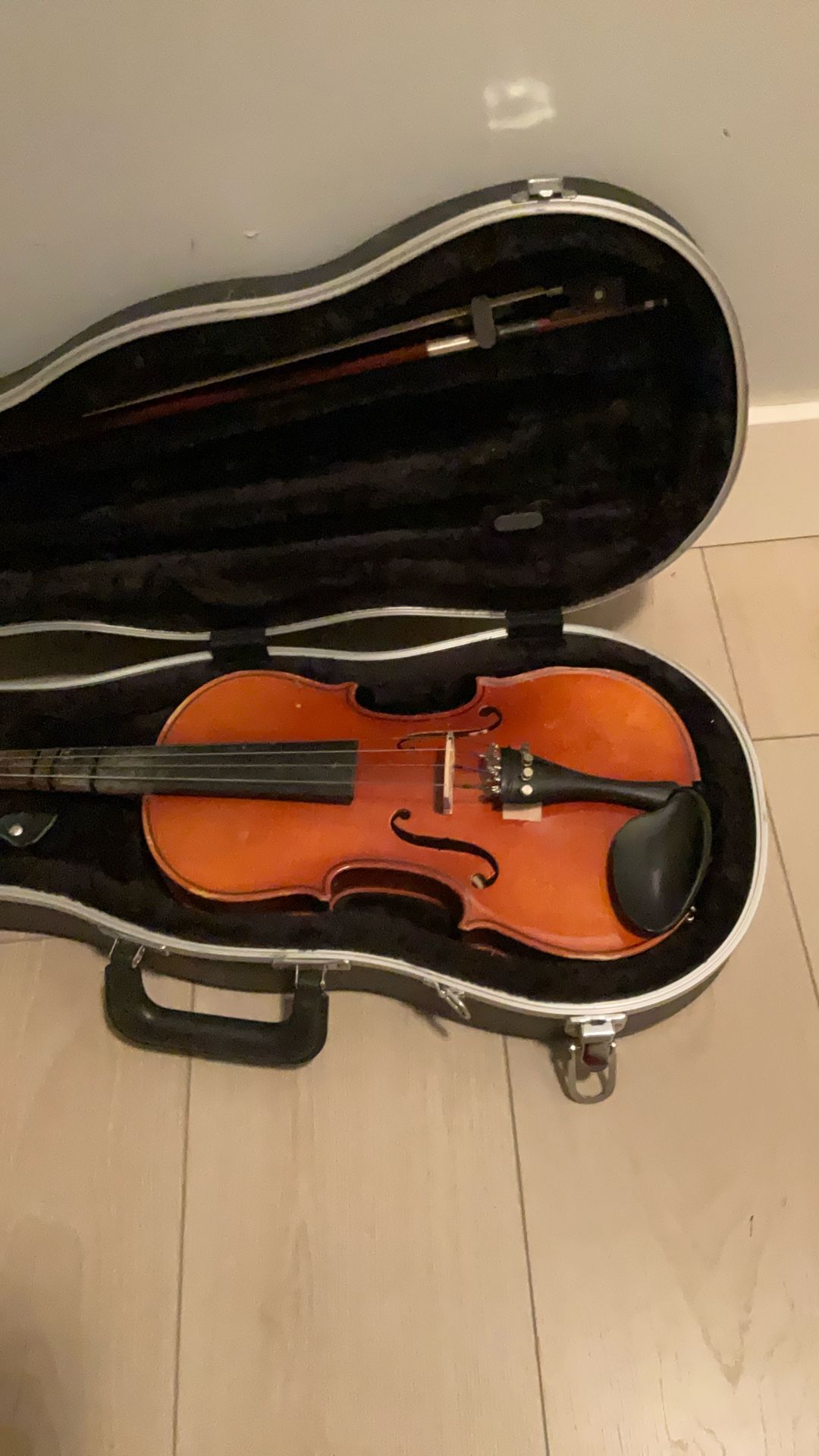 Violin
