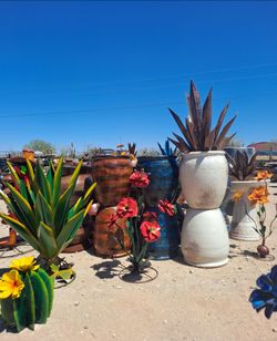 MACETAS🪴Pajareras, plants, Mrtal yard Art🌵