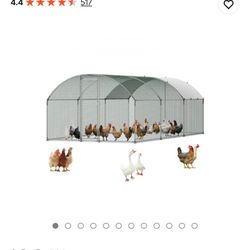 Walk-In Chicken Coop