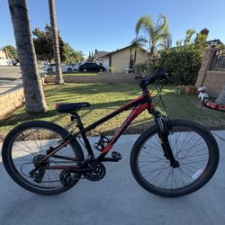 Giant Revel Mountain Bike