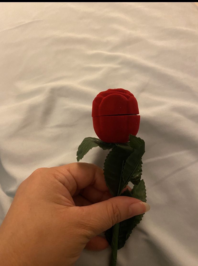 Red Rose Flower 🌹 Ring Case 
