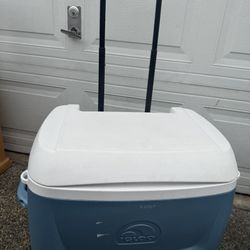 Large Cooler 