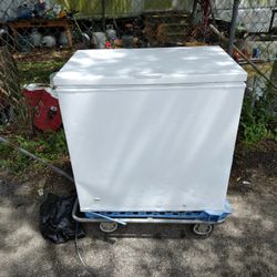 36 By 22 Deep Freeze Ice Cold Good Working Order