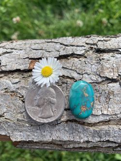 Turquoise Cabochon Gemstones