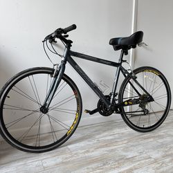 Schwinn Tourist city bike