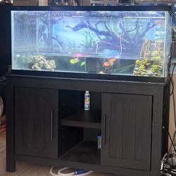75 Gallon Axolotl Tank Set Up! 