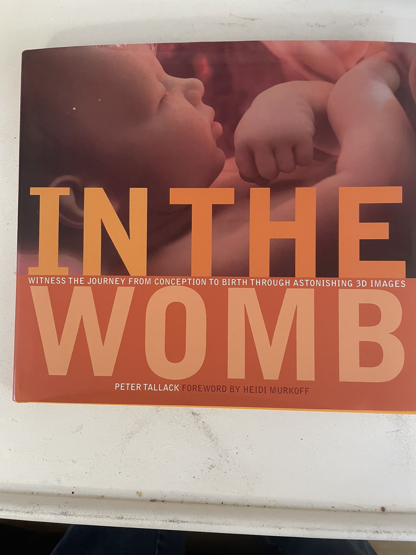 In The Womb Pregnancy Development Book 