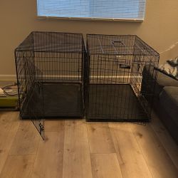 Dog Kennels