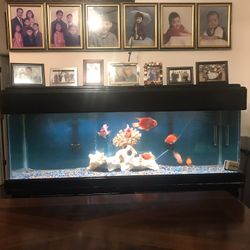 Fish Tank 110 Gallon