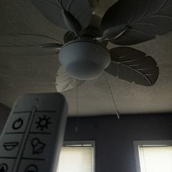 Ceiling Fan 