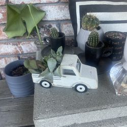 Small Truck With Succulents 
