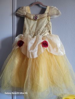 Cinderella Costume 