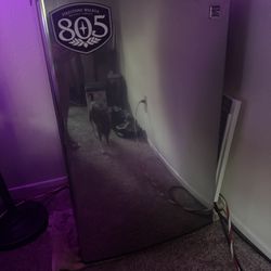 Mini Fridge