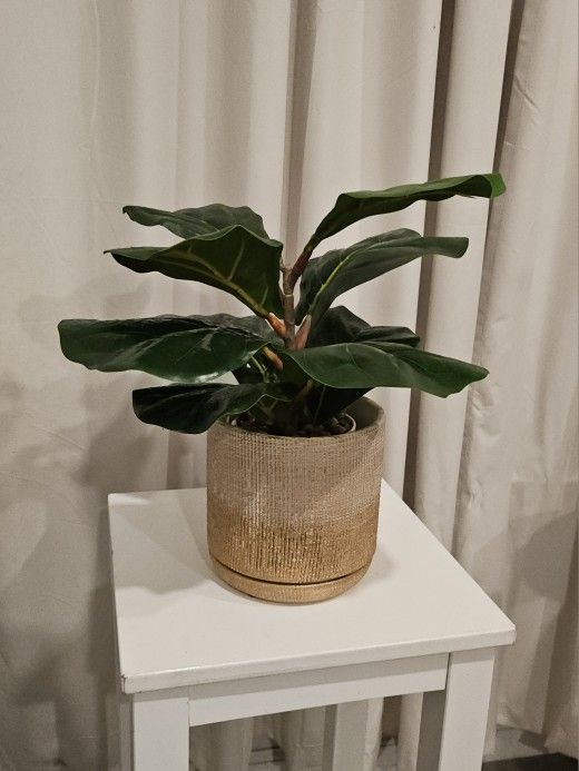 Faux Fiddle Leaf Fig Plant