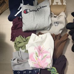 Hoodie Sweatshirt Bundle Nike Champion GAP Tommy Hilfiger & More