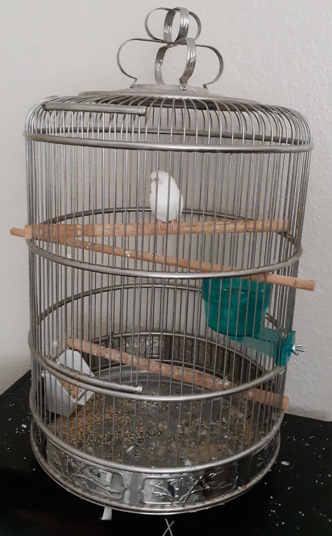 Bird cage