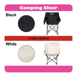 Beach/Camping Chair