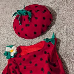 Halloween Costume: Strawberry 