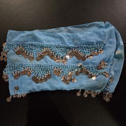 Belly Dancer Skirt