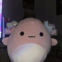 Pink and white axolotl squishmallow #axolotl