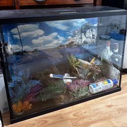 Fish Tank