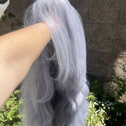Silver Wig— Extra Long, High Quality!