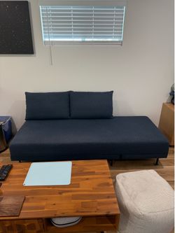 Sofa Sleeper by Lon (Lowered price in half for moving sale!!!)