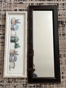 Mirror with hooks or succulent picture
