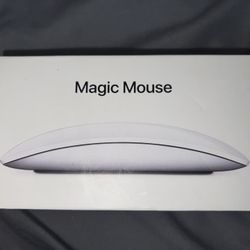 Apple Magic Mouse 2 in Silver